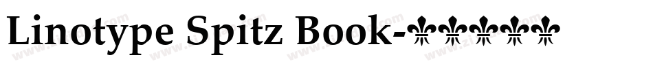 Linotype Spitz Book字体转换